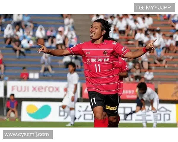 水户蜀葵对阵金泽赛维根精彩直播全程回顾与分析